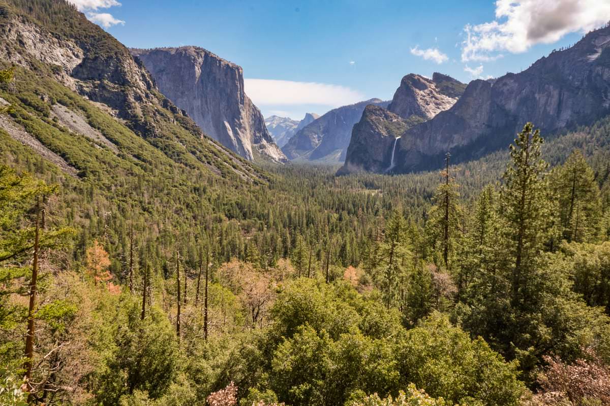 Yosemite National Park